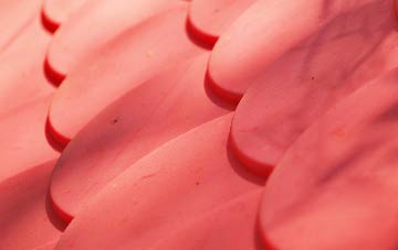 Fermanagh plastic roof costs